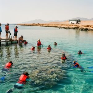snorkeling at ras mohammed national park by road